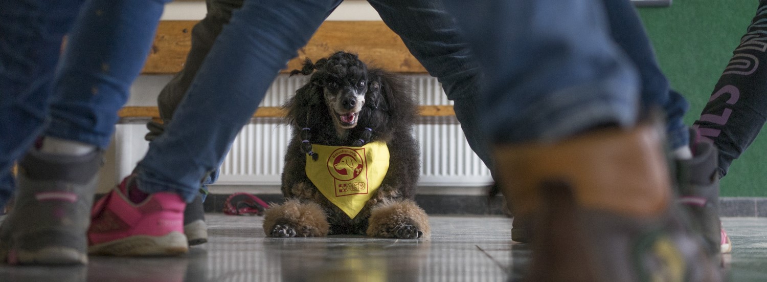 asb_goettingen_wuff_3 (2).JPG